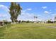 Scenic view of the community golf course, offering a lush green landscape and tranquil atmosphere at 755 S Arrowwood Way, Mesa, AZ 85208