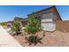 Front yard with desert landscaping, including small trees, rocks and a view of the property at 23805 N 163Rd Dr, Surprise, AZ 85387