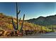 Scenic desert landscape with saguaro cacti, stone wall, and rolling hills under a clear blue sky at 39332 N Old Stage Rd, Cave Creek, AZ 85331