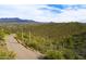 Road winds through desert landscape with lush vegetation and mountain views in the distance at 39332 N Old Stage Rd, Cave Creek, AZ 85331