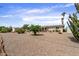 Expansive gravel backyard with mature citrus trees, desert landscaping, and a storage shed, offering a serene outdoor space at 5463 E Albany St, Mesa, AZ 85205