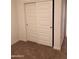 A closet featuring large sliding doors and neutral-colored walls and carpeting at 36217 N Urika Dr, San Tan Valley, AZ 85140