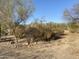 View of tranquil desert backyard with natural landscaping and plants at 7636 E Coronado Rd, Mesa, AZ 85207