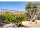 Outdoor seating area surrounded by native desert landscaping with a small round table and wrought iron fence at 10134 E Meandering Trail Ln, Gold Canyon, AZ 85118