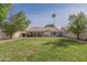 Spacious backyard with green grass, mature trees, covered patio, and fenced perimeter at 1550 E Park Ave, Gilbert, AZ 85234