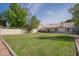 Lush green backyard featuring a well-manicured lawn, mature trees, and enclosed fencing at 1550 E Park Ave, Gilbert, AZ 85234