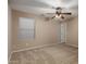 Bright bedroom with carpet and a ceiling fan, providing a comfortable and inviting atmosphere at 19072 N Ventana Ln, Maricopa, AZ 85138