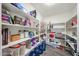 Well-organized pantry with abundant shelving, offering ample storage for food and kitchen essentials at 19622 N 66Th Ln, Glendale, AZ 85308