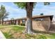Charming exterior view of a single-story home with a large tree in the yard providing shade and curb appeal at 6514 S Lakeshore Dr # C, Tempe, AZ 85283
