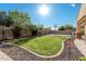 Manicured backyard features new lawn, lush landscaping, and a basketball court at 7589 W Firebird Dr, Glendale, AZ 85308