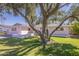 Charming single-story home featuring a landscaped front yard and mature shade tree on a sunny day at 8613 E Citrus Way, Scottsdale, AZ 85250
