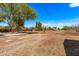 Spacious backyard with trees and plenty of room to run around at 11124 W Southern Ave, Tolleson, AZ 85353