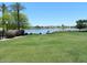 Picturesque view of the lake with palm trees and lush green grass at 12787 S 175Th Ave, Goodyear, AZ 85338