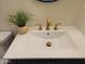 Stylish bathroom sink features a modern faucet, hardware and decorative plant at 12807 N 21St Dr, Phoenix, AZ 85029