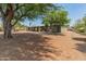 View of the backyard with desert landscaping, mature trees, and privacy fencing at 15602 N 56Th Pl, Scottsdale, AZ 85254