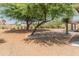 Wide view of the backyard showcasing mature landscaping, mature trees, and privacy at 15602 N 56Th Pl, Scottsdale, AZ 85254