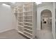 Walk-in closet with carpet flooring, built-in shelving, and a bright skylight at 15602 N 56Th Pl, Scottsdale, AZ 85254