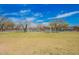 Lush community soccer field, perfect for recreational games and activities under clear blue skies at 17308 W Daley Ln, Surprise, AZ 85387