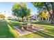 Lush green common area with picnic tables and barbecue grills at 19820 N 13Th Ave # 169, Phoenix, AZ 85027