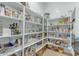 Walk-in pantry offers plenty of shelving space for organized food storage at 2876 E Cherrywood Pl, Chandler, AZ 85249