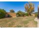 Spacious backyard featuring mature trees, lush greenery, and a private setting for relaxation and outdoor enjoyment at 29900 N Maravilla Dr, San Tan Valley, AZ 85143