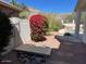 Backyard landscape with red flowers, hill view, and a corner of the pool visible at 3110 E Desert Flower Ln, Phoenix, AZ 85048