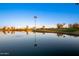 Community pond with reflections of the palm trees, blue sky, and single Gathering homes in the background at 15696 W Roanoke Ave, Goodyear, AZ 85395