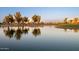 Community pond with beautiful reflections of the tree line, blue sky and single Gathering homes in the background at 15696 W Roanoke Ave, Goodyear, AZ 85395