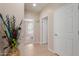 Hallway leading to the bedroom, featuring colorful floral arrangement in a pot at 26288 W Horsham Ct, Buckeye, AZ 85396