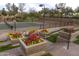 A well-maintained tennis court surrounded by lush greenery and colorful flower planters at 30550 N 125Th Dr, Peoria, AZ 85383