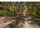 Beautiful courtyard featuring benches, greenery, walkways and an inviting outdoor fireplace with desert-themed landscaping at 5350 E Deer Valley Dr # 1253, Phoenix, AZ 85054