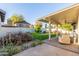 A covered patio overlooks a backyard with artificial grass and colorful landscaping at 756 E Appaloosa Rd, Gilbert, AZ 85296