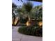 The backyard features beautiful landscaping with palm trees and stone walkway at 1182 E Harrison St, Gilbert, AZ 85295