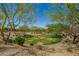 Beautifully maintained community green space showcasing trees and lush landscaping at 1331 E La Mirada Dr, Phoenix, AZ 85042