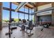 Bright gym with state-of-the-art fitness equipment and large windows overlooking the outdoor landscape at 1331 E La Mirada Dr, Phoenix, AZ 85042