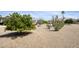 A meticulously landscaped backyard featuring a variety of desert plants, creating a serene outdoor space at 18137 N Plaza Ct, Surprise, AZ 85374