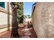 Private backyard path featuring desert landscaping, and lush trees at 448 E Wescott Dr, Phoenix, AZ 85024