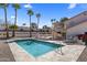 Beautiful backyard showcasing a sparkling pool, tanning deck, and a lush desert landscape at 1327 E Le Marche Ave, Phoenix, AZ 85022