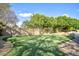 Backyard putting green with lush landscaping, mature trees and desert landscaping at 1530 E Jeanine Dr, Tempe, AZ 85284
