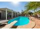 Clear pool with diving board, patio area, and palm trees at 3340 W Ironwood Dr, Phoenix, AZ 85051