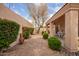 Well-maintained backyard featuring lush greenery, a patio, and desert landscaping at 12244 N Tower Dr, Fountain Hills, AZ 85268