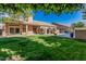 Backyard with lush grass, covered patio, swimming pool, privacy fence, and mature trees at 18036 N 49Th St, Scottsdale, AZ 85254