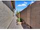Narrow side yard with gravel, a raised garden bed, and block wall at 1961 E Stacey Rd, Gilbert, AZ 85298