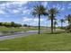 An open view of the lush green golf course and pond with palm trees under a cloudy blue sky at 26735 N 127Th Dr, Peoria, AZ 85383