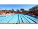 The large community pool offers ample space for swimming and relaxation in a resort-style setting with clear blue water at 4152 N Signal Cir, Mesa, AZ 85215