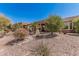 Well-maintained desert landscaping in the backyard with decorative rock and lush greenery at 41960 W Ellington Ln, Maricopa, AZ 85138