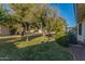 Private backyard featuring lush landscaping and mature shade trees at 540 Leisure World --, Mesa, AZ 85206