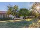 Expansive backyard featuring mature citrus trees, lush green lawn, and privacy hedges at 540 Leisure World --, Mesa, AZ 85206
