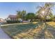 Charming front yard with mature trees, green lawn, and well-maintained landscaping at 540 Leisure World --, Mesa, AZ 85206