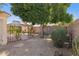 Backyard featuring mature trees, plants and a shaded gazebo at 5867 W Cochise Dr, Glendale, AZ 85302